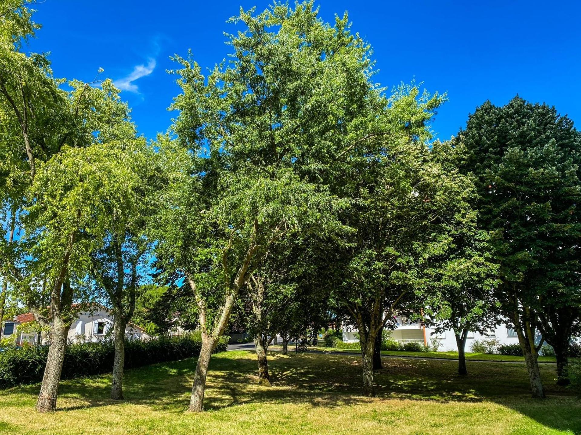 Ferienwohnung T3 Moderne Avec Balcon Terrasse Et Parking Gratuit Niort Exterior foto